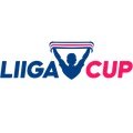 Veikkausliiga Cup